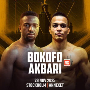 Superior Challenge – Matchbild – Tome Bokofo vs Mohsen Akbari